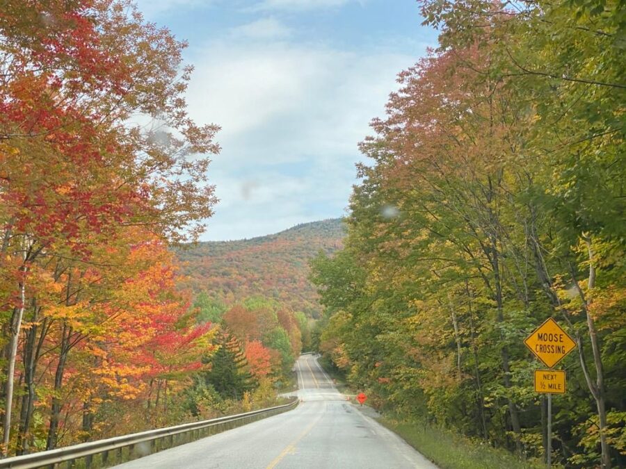 Travel Day: Cozy & Colourful New England